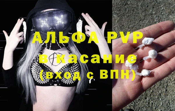 эйфоретик Белокуриха